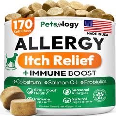 🐶 Dog Itching & Allergy Relief Chews – Skin Soothing Support for Dogs