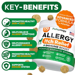 🐶 Dog Itching & Allergy Relief Chews – Skin Soothing Support for Dogs