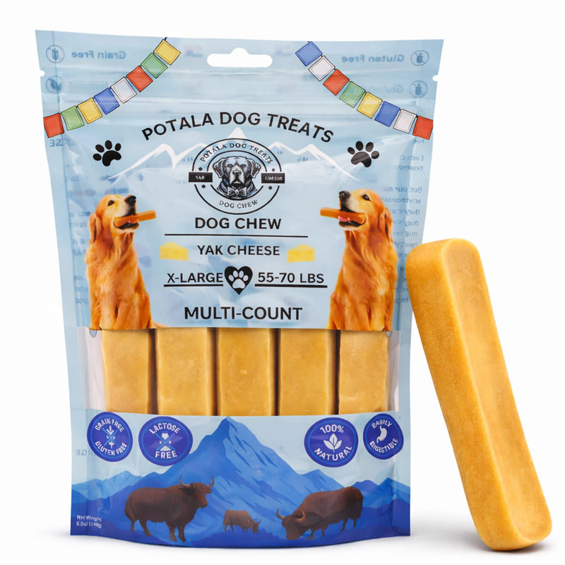 Premium Himalayan Yak Cheese Potala Dog Chew – Long-Lasting Natural Dog Treat