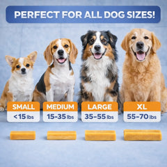 Premium Himalayan Yak Cheese Potala Dog Chew – Long-Lasting Natural Dog Treat