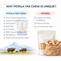 Premium Himalayan Yak Cheese Potala Dog Chew – Long-Lasting Natural Dog Treat