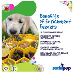 Honeycomb Slow Feeder Dog Bowl – Interactive Enrichment Feeding Bowl for Dogs