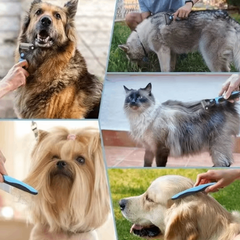 Professional Dual-Sided Dog Dematting Brush | Stainless Steel Undercoat & Deshedding Grooming Tool